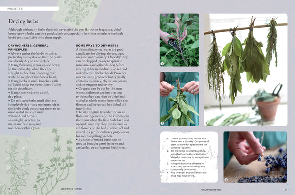 Kew Gardener's Guide to Growing Herbs, Holly Farrell