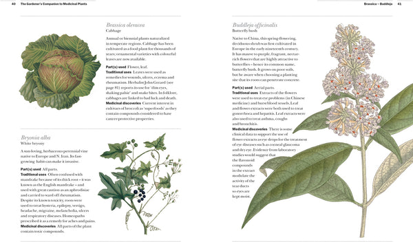 Kew The Gardener's Companion to Medicinal Plants
