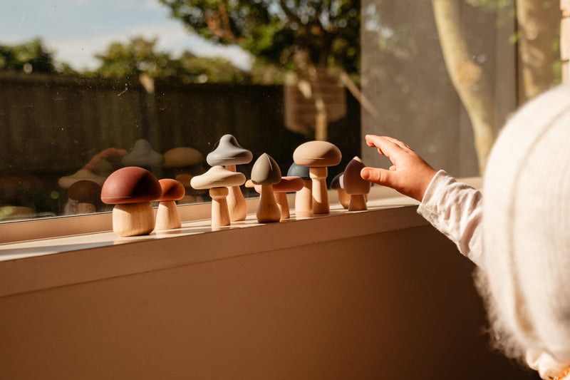 Classical Child Mushroom Toy Set