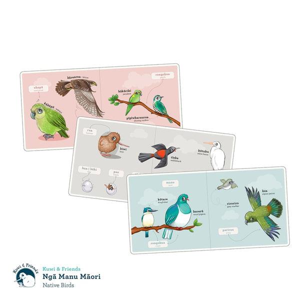 Ngā Manu Māori | Native Birds | Board Book