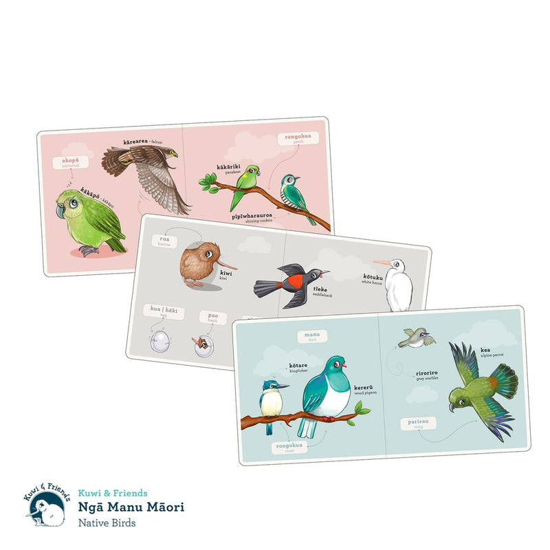 Ngā Manu Māori | Native Birds | Board Book