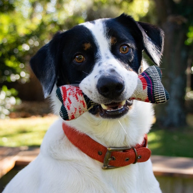 Trade Aid Bone Pet Toy